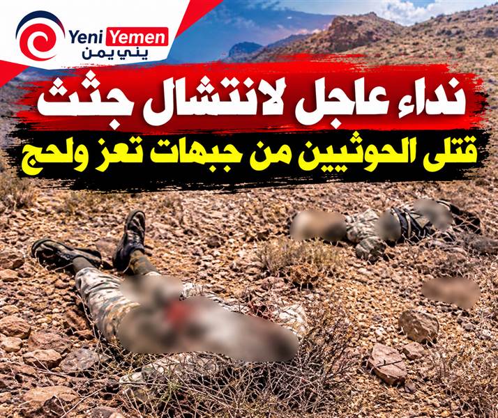 نداء عاجل لانتشال جثث قتلى الحوثيين من جبهات تعز ولحج