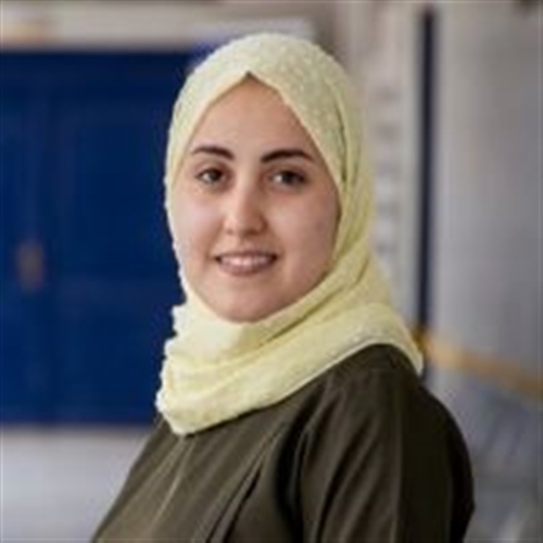 "اللغة الأم" أو "الأم اللغة"